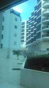 Апартаменты Apartman Petra Будва-7