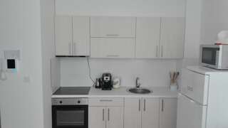 Апартаменты Apartman Petra Будва Апартаменты с 1 спальней-63